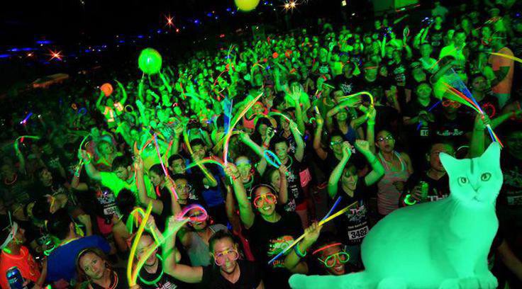 0xczk1's tweet photo. @ganussol @ministerr @glow_cto $glow party https://t.co/te3z29n5C7