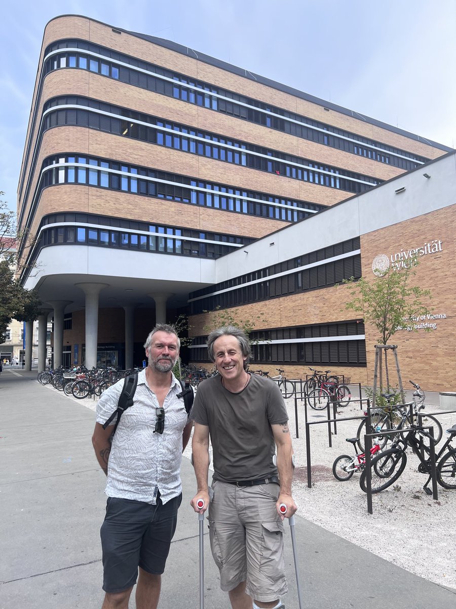 Mike Morley tweet media