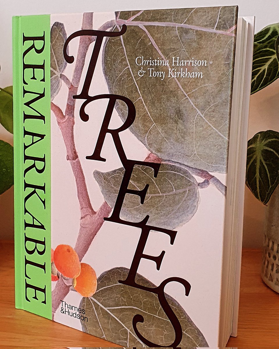 KewEditor's tweet photo. I was really thrilled to give my paper at #TreeCulturesatKew yesterday and explore the history of the deodar in the making of @kewgardens #arborealhumanities. Also exciting to share the new edition of #RemarkableTrees from @thamesandhudson with everyone π π³π²π΄ https://t.co/EjRGl3ypeh