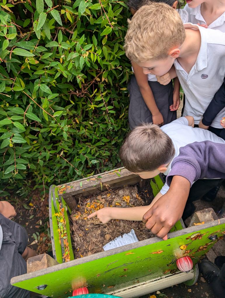 MissFitzBF's tweet photo. In science we looked at the different bug hotels we have in school to help us to design our own https://t.co/XzaHTSiWn7