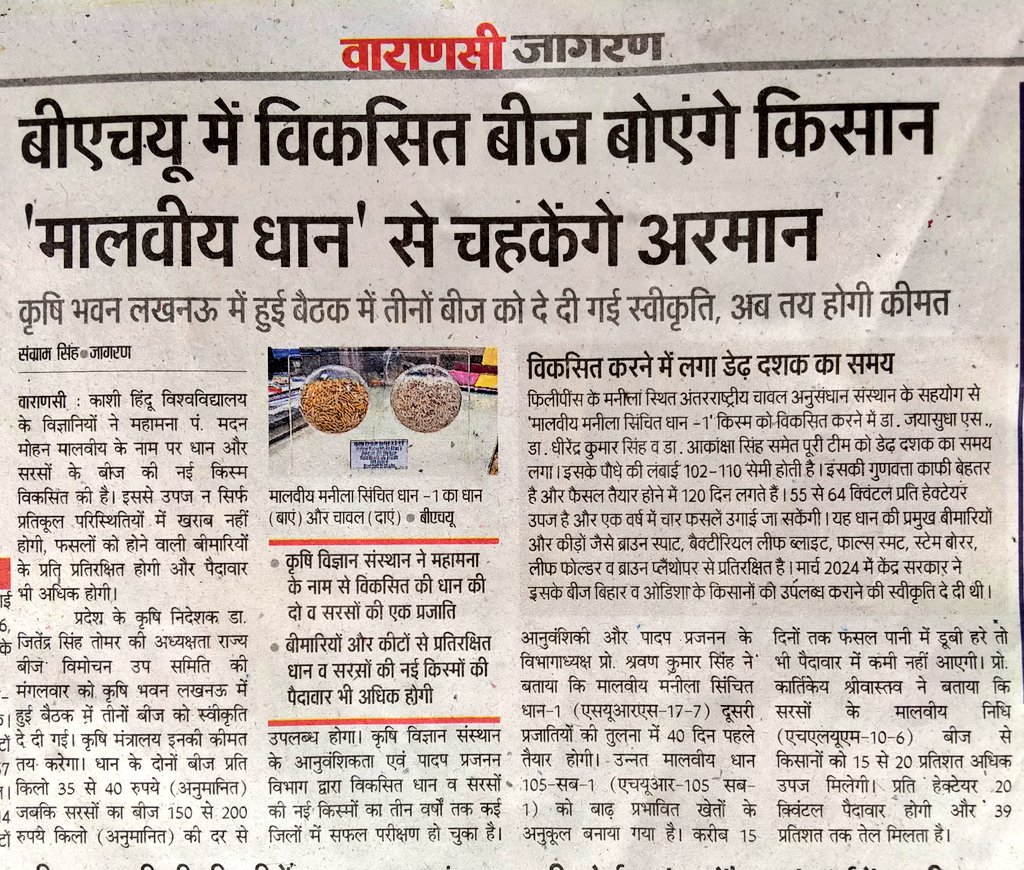 directoragbhu's tweet photo. बी एच् यू में विकसित बीज बोएंगे किसान
'मालवीय धान' से चहकेंगे अरमान।
संस्थान के अनुवांशिकी एवं पादप प्रजनन विभाग के प्रो एस के सिंह जी, प्रो पी के सिंह जी और प्रो कार्तिकेय श्रीवास्तव जी को बधाई व शुभकामनाएं.... https://t.co/vc3P7oiBtL