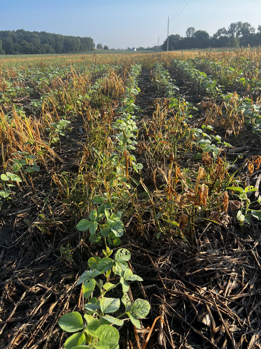 Ted Zepplin tweet media