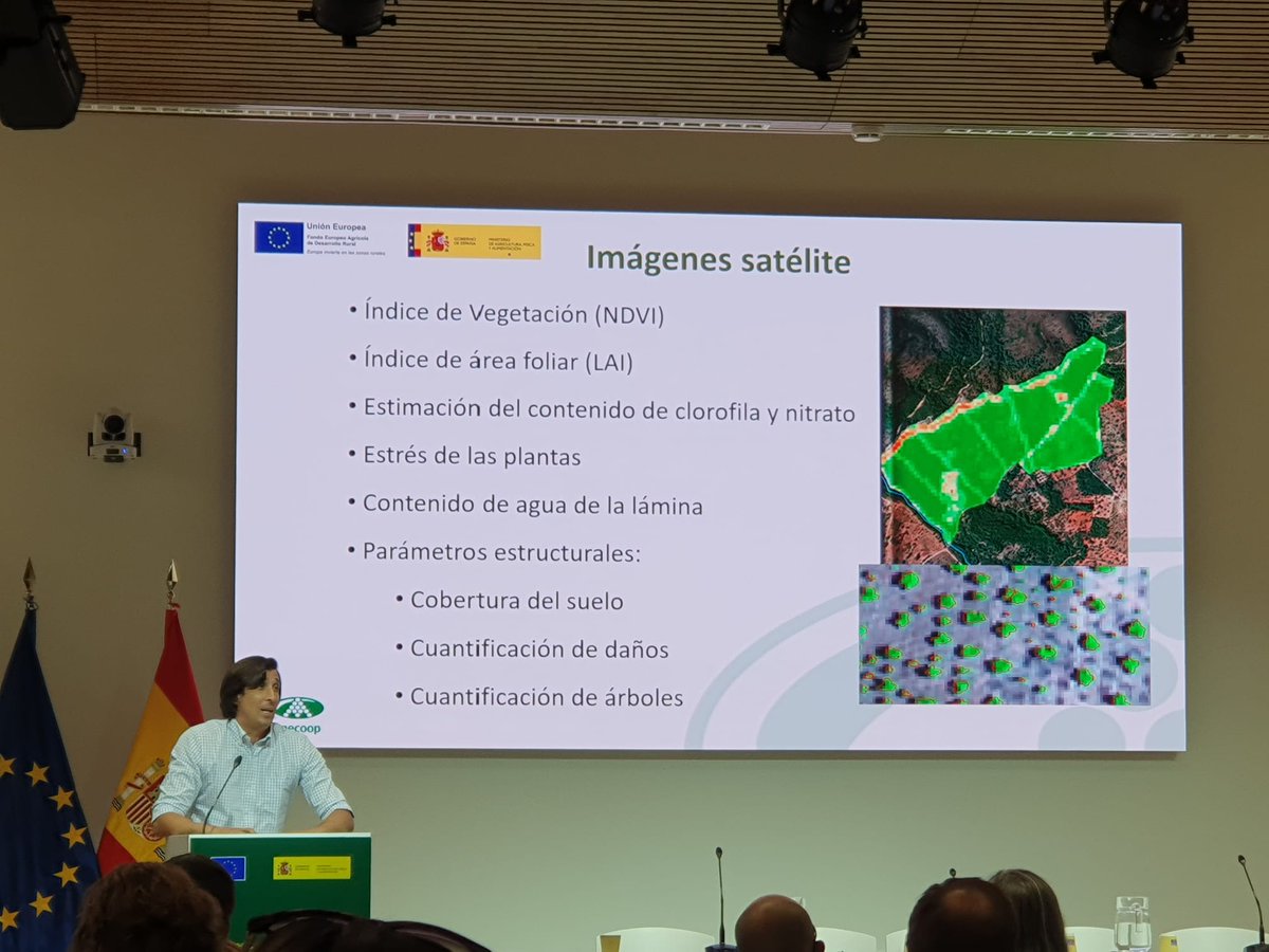 CoopsAgroES's tweet photo. Nicolás Juste #cooperativa @Bouquet_es ha presentado en @AgrifoodTEF el grupo operativo #CITRIAFORO para la correcta estimación del aforo en #cítricos #IA en la que participan @CoopsAgroCV @fecoam #InteligenciaArtificial @lavegainnova @mapagob #AgriFoodTech https://t.co/v1KwKZSCDM