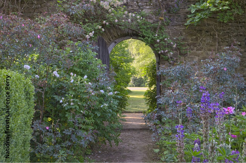 Haslemere Museum tweet media