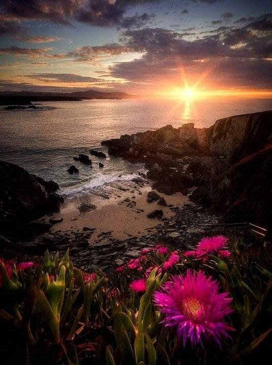 Happy Wednesday.

#HappyWednesday 
#SunsetPhotography 
#SunrisePhotography 
#NatureBeauty