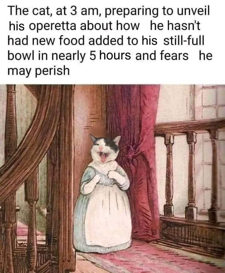 WholesomeMeme's tweet image. 