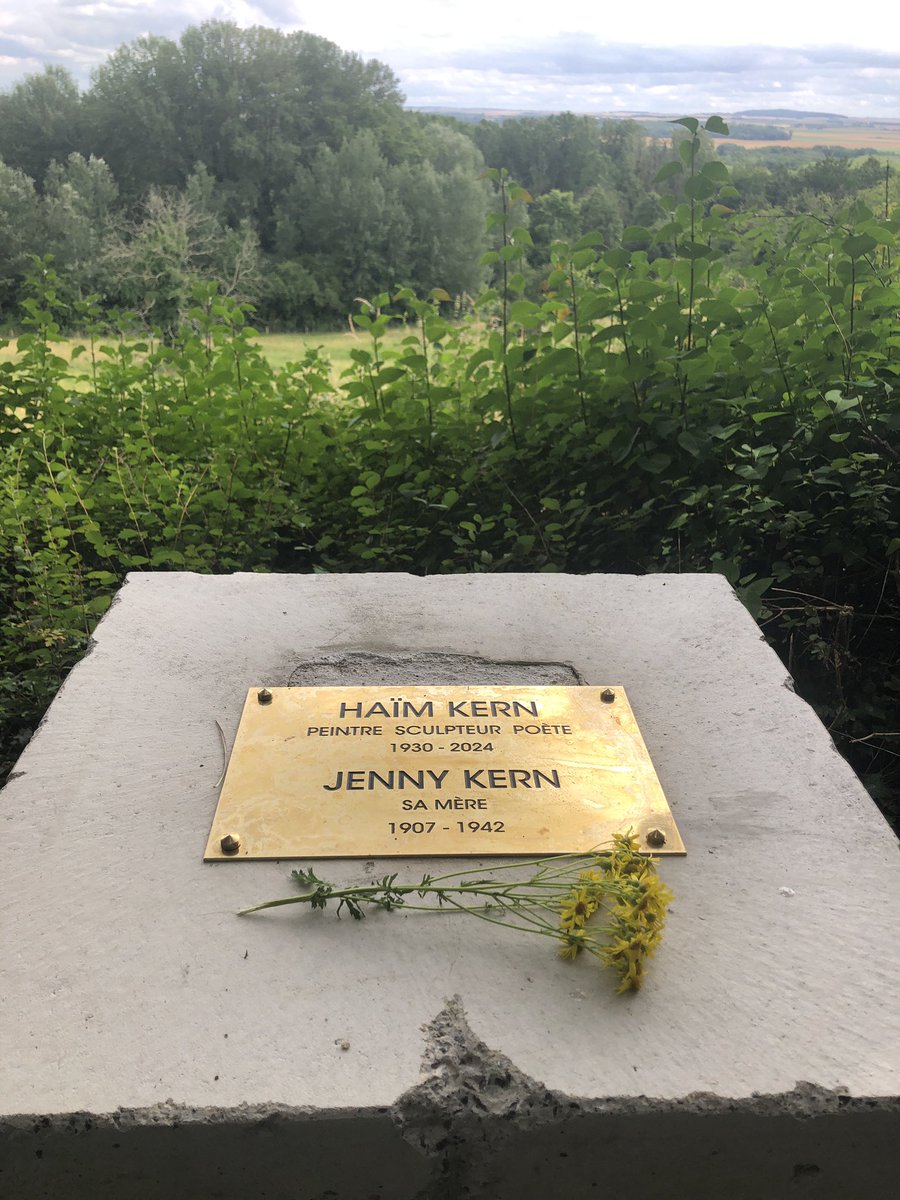 Franck Viltart tweet media