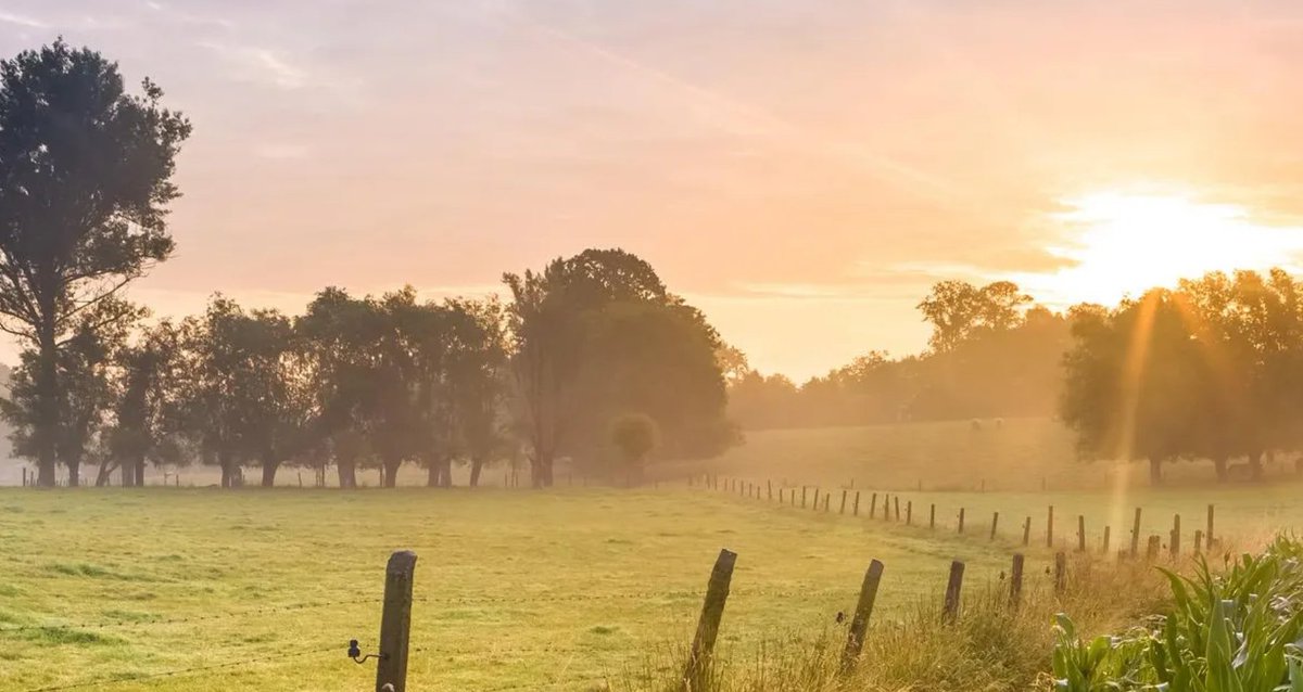 Laura Michie (@lauraamichie) on Twitter photo With a new <a href="/UKLabour/">The Labour Party</a> Government, now is the time to commit to #nature to halt the loss of #wildlife and protect 30% of our lands and seas by 2030. Nature needs funding, planning and restoring. The time to act is now 🌿
rspb.org.uk/whats-happenin… With a new <a href="/UKLabour/">The Labour Party</a> Government, now is the time to commit to #nature to halt the loss of #wildlife and protect 30% of our lands and seas by 2030. Nature needs funding, planning and restoring. The time to act is now 🌿
rspb.org.uk/whats-happenin…