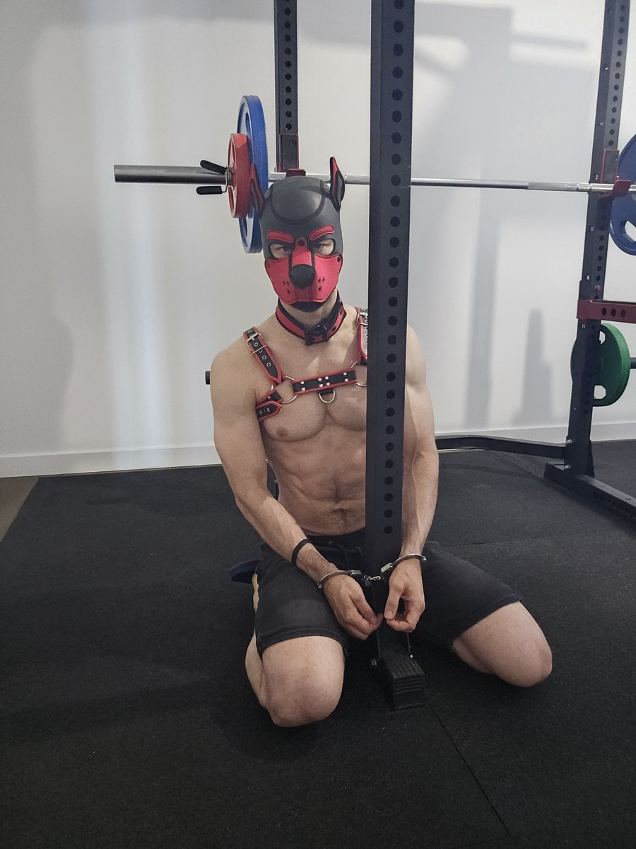 PupBrago tweet media