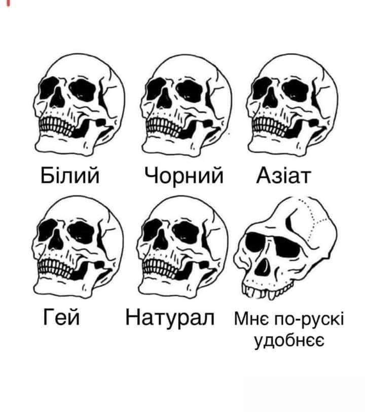 Пані компот з румбамбару tweet media