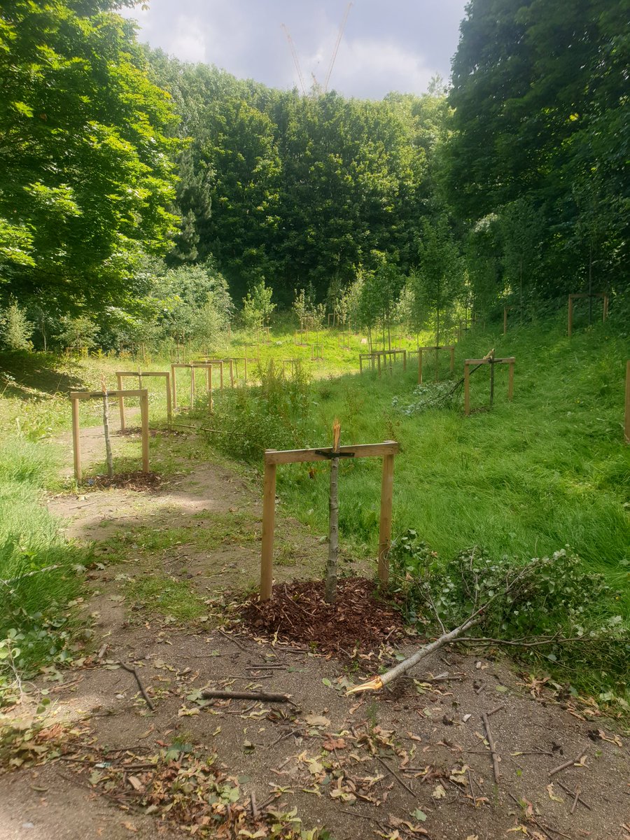 Ed Carlisle tweet media