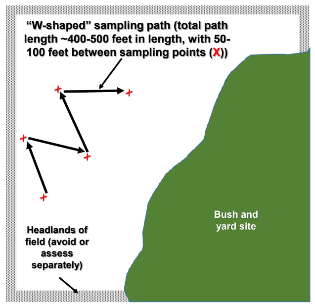 SaskBarley's tweet image. 🌾 Scouting for cereal leaf diseases is easy with this visual resource from @pcdmn. 

Learn essential assessment protocols, timing tips, and severity evaluation techniques to safeguard your wheat and barley crops. 

Download now 📖 drive.google.com/file/d/1iQRbz3…

#Spray24 #ScoutingTips