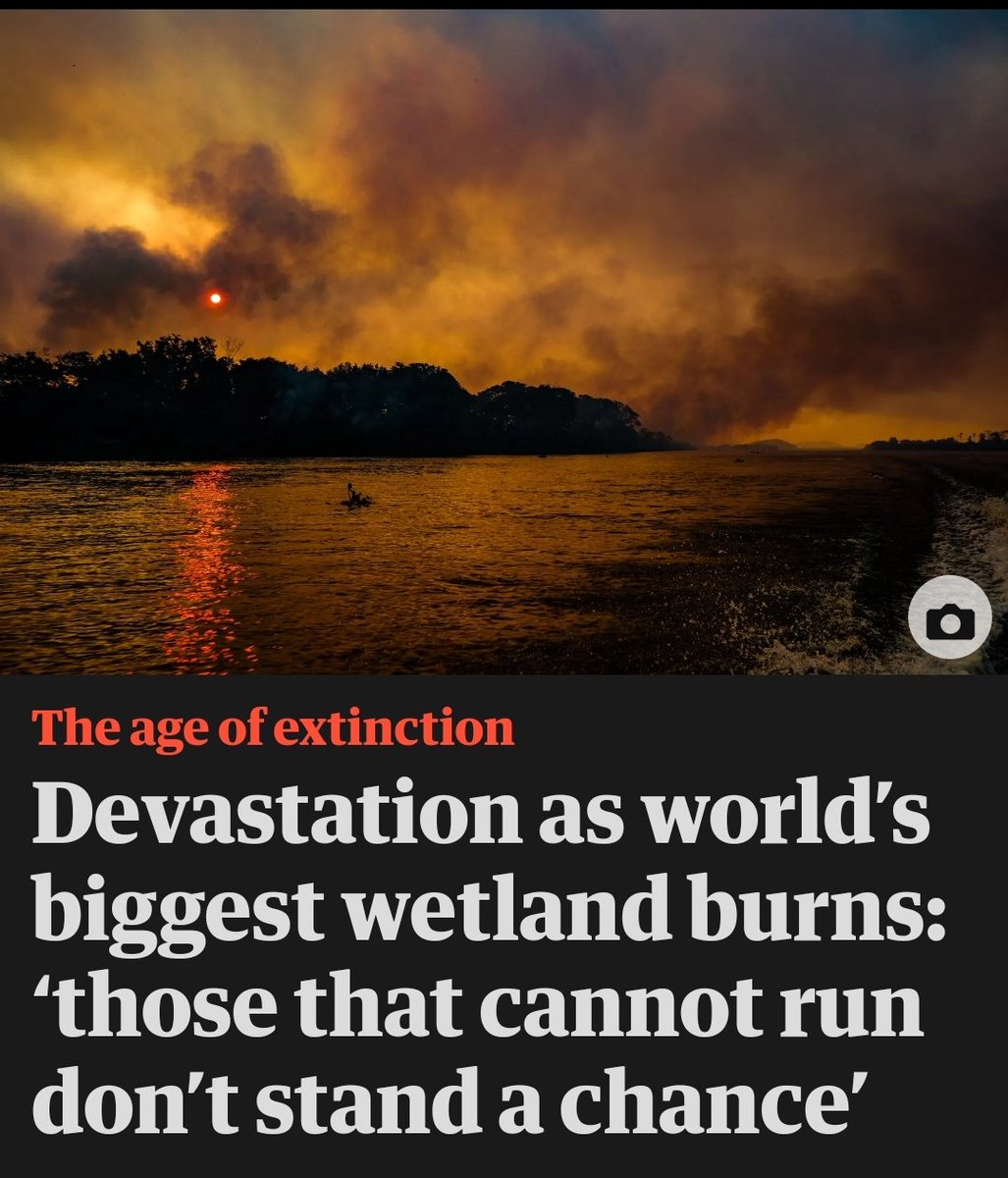 Simon Roots (@simonroots4) on Twitter photo 