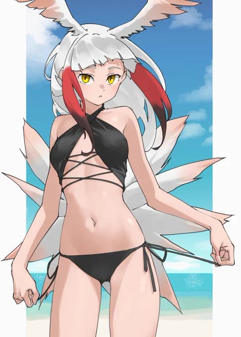 トキ 
