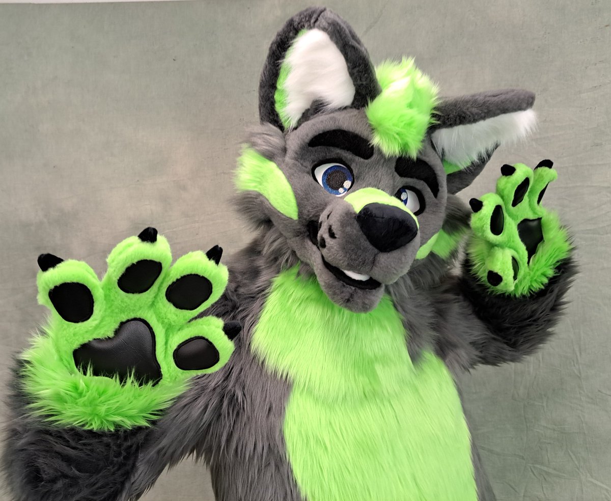 Fursuit number 200 was finished last week and we are so thrilled to have reached such a big milestone 🥳
Here's the cute <a href="/ChittoTheWolf/">Chitto</a>! 🩶💚