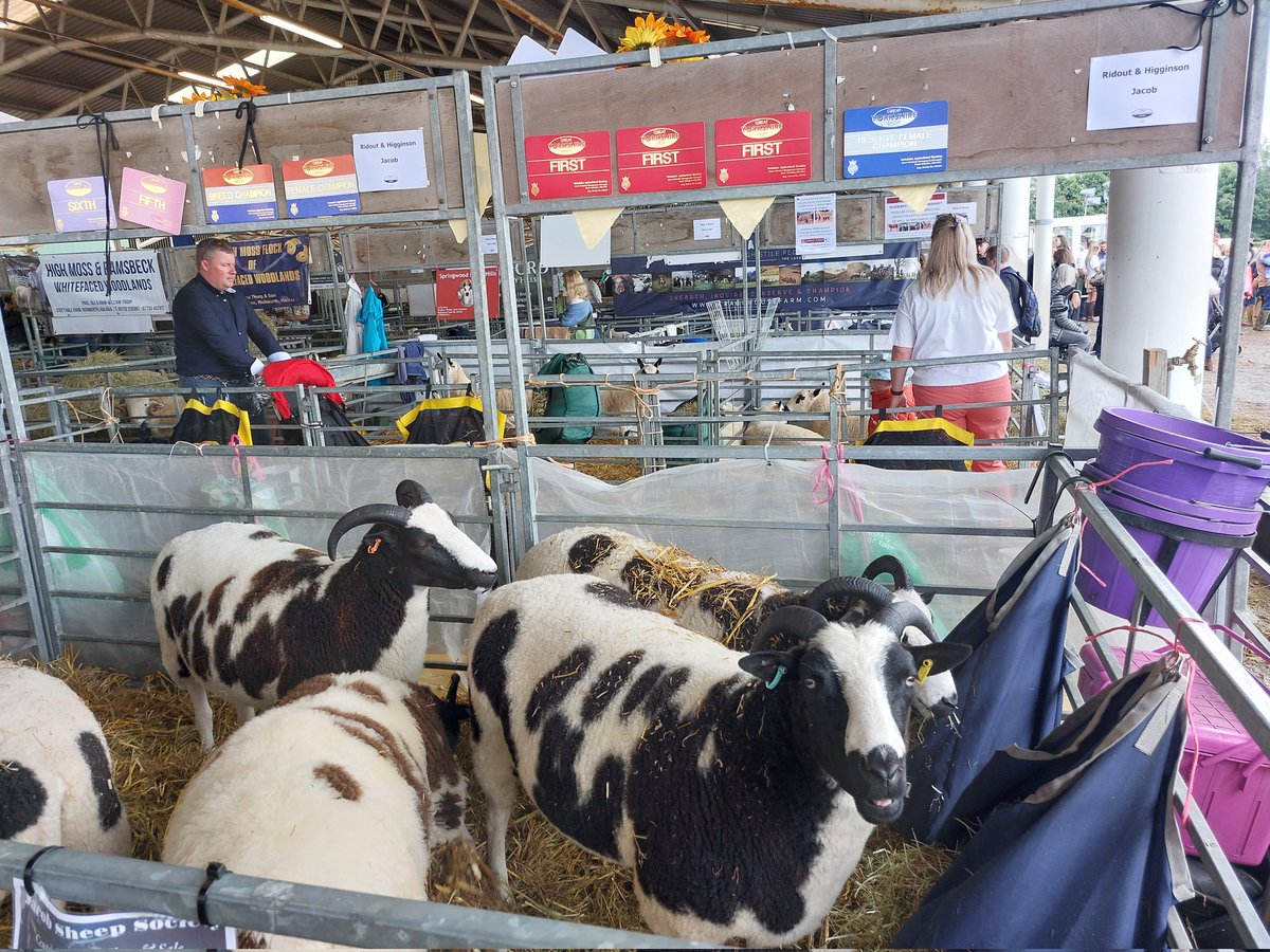 RuralSouthWold's tweet photo. Excellent time @greatyorkshow caught up with @FCNcharity @FCN_North and @RABIcharity  Also a peek at some . 
@RuralYork https://t.co/PKhr0JPUhf