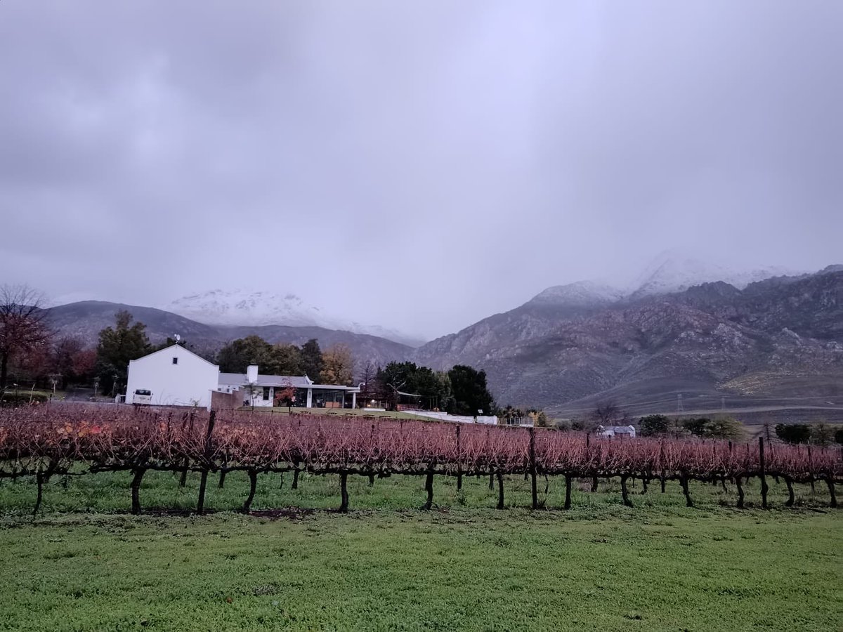 ❄️ The mountains are dressed in snow, and there's no better place to enjoy this winter wonderland than at our tasting room. 
 
Cozy up by the fireplace with your favorite glass of Stettyn wine and take in the spectacular snowy views. 🍷 
 
#WinterWonderland