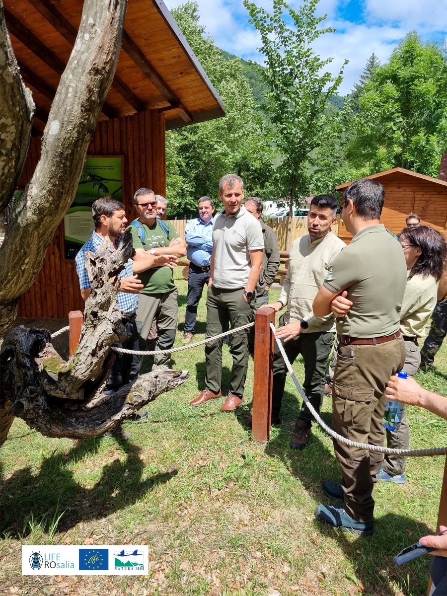 LIFENatROsalia's tweet photo. Practical application: #Conservation of #saproxylic_insects #biodiversity #ecosystems #forest
#Together4Nature #NationalForestryAuthority #Romsilva #PutnaVranceaNaturalParkAdministration #APMVrancea, representatives of national and natural parks.
#LIFEROsalia #LIFENature https://t.co/kBjc85prYA