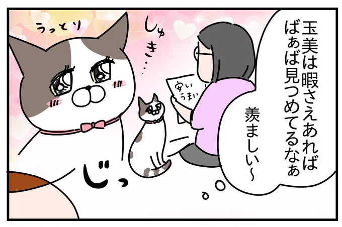 実家のネコ玉美の人違い① 