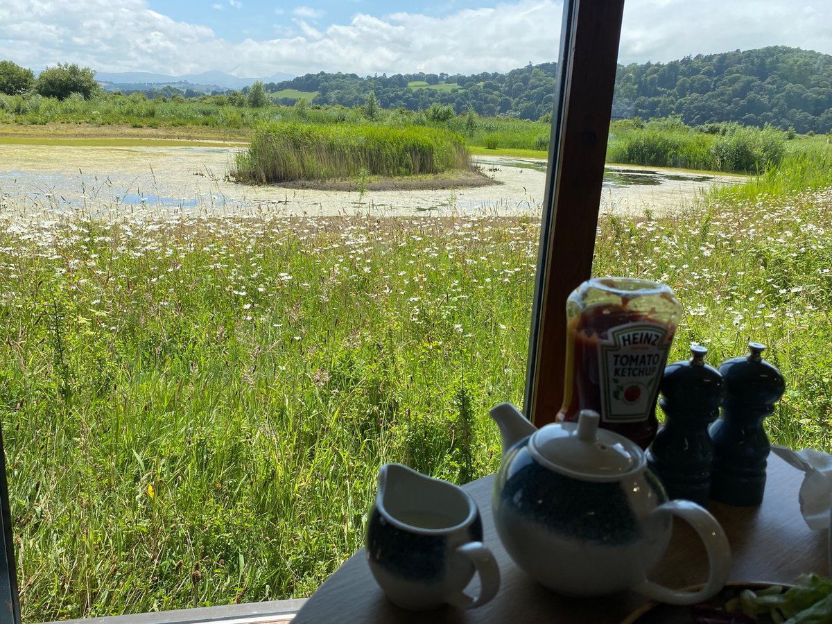 🏴󠁧󠁢󠁷󠁬󠁳󠁿 Pengwern: Self-catering. B & B. tweet media