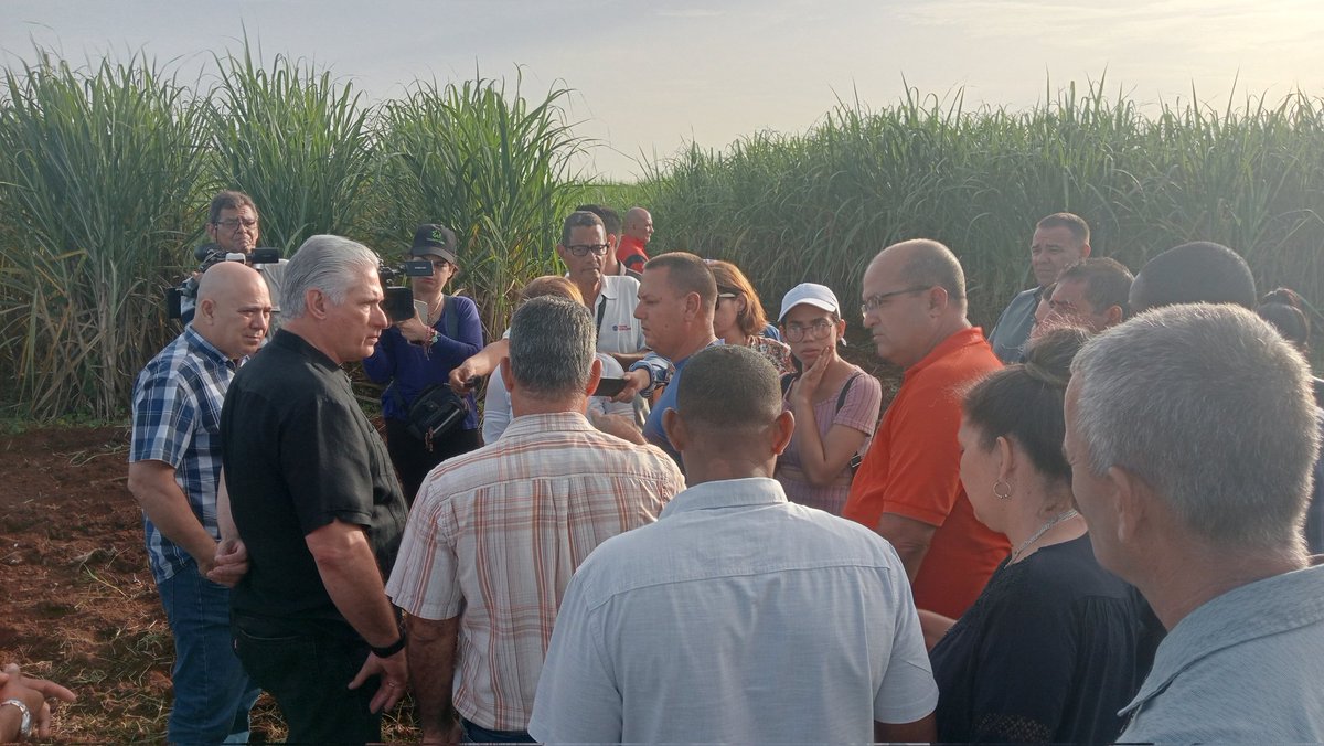 PartidoPCC's tweet photo. La producción de alimentos es vital para la economía cubana. Bajo esta máxima la CPA Elio Miguel Valdés, primer punto visitado por @DiazCanelB y @DrRobertoMOjeda en
Melena del Sur, Mayabeque, garantiza las semillas para la  cosecha de la caña y la producción de cultivos varios https://t.co/fQ3Of0NzcQ