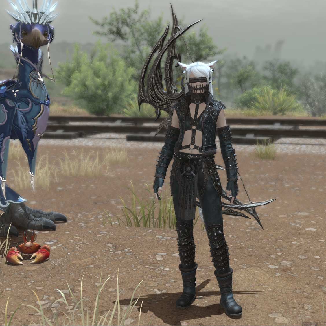 EmikoMaxwelled's tweet photo. Omg it got worse! 🤣 What even is this headpiece?! Even Dash is confused back there.  #FFXIV  #madmax https://t.co/O3Oncpsr4u