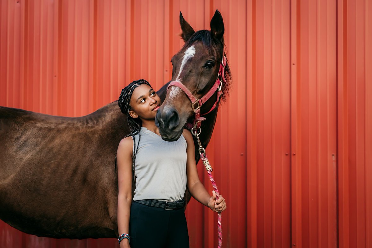 EquineInfoEx's tweet photo. Educational Benefits of Equine-Assisted Learning Programs for Students. Working with horses gives students confidence, raises their self-esteem and a sense of achievement. Read More: https://t.co/9iK2a4FPSP
#equine #horses #therapeuticriding #EquineAssistedLearning #education https://t.co/tgJKbuD56c