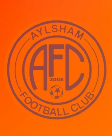 🆕 𝗩𝗮𝗰𝗮𝗻𝗰𝗶𝗲𝘀 | 𝗔𝗱𝘂𝗹𝘁 𝗺𝗮𝗻𝗮𝗴𝗲𝗺𝗲𝗻𝘁 𝗿𝗼𝗹𝗲𝘀

We’re inviting applications for the below position: ⬇️

Join us as our Reserve Team Manager!
The reserves team compete in Div 3N of the <a href="/AnglianCom/">Fosters Solicitors Anglian Combination</a>. 

Contact acollins@aylshamfc.co.uk

Please share! 🙏🧡💙⚽️