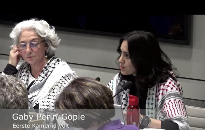 Dit zijn dus NL Parlementsleden die openlijk de terroristen van Hamas steunen. Zeer zorgwekkend.