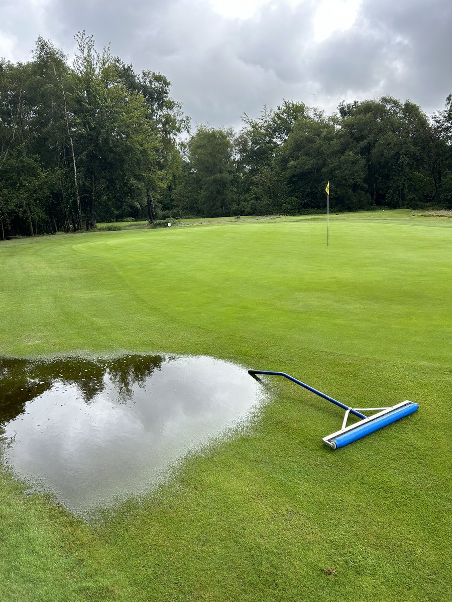 CBGCGREENS tweet media
