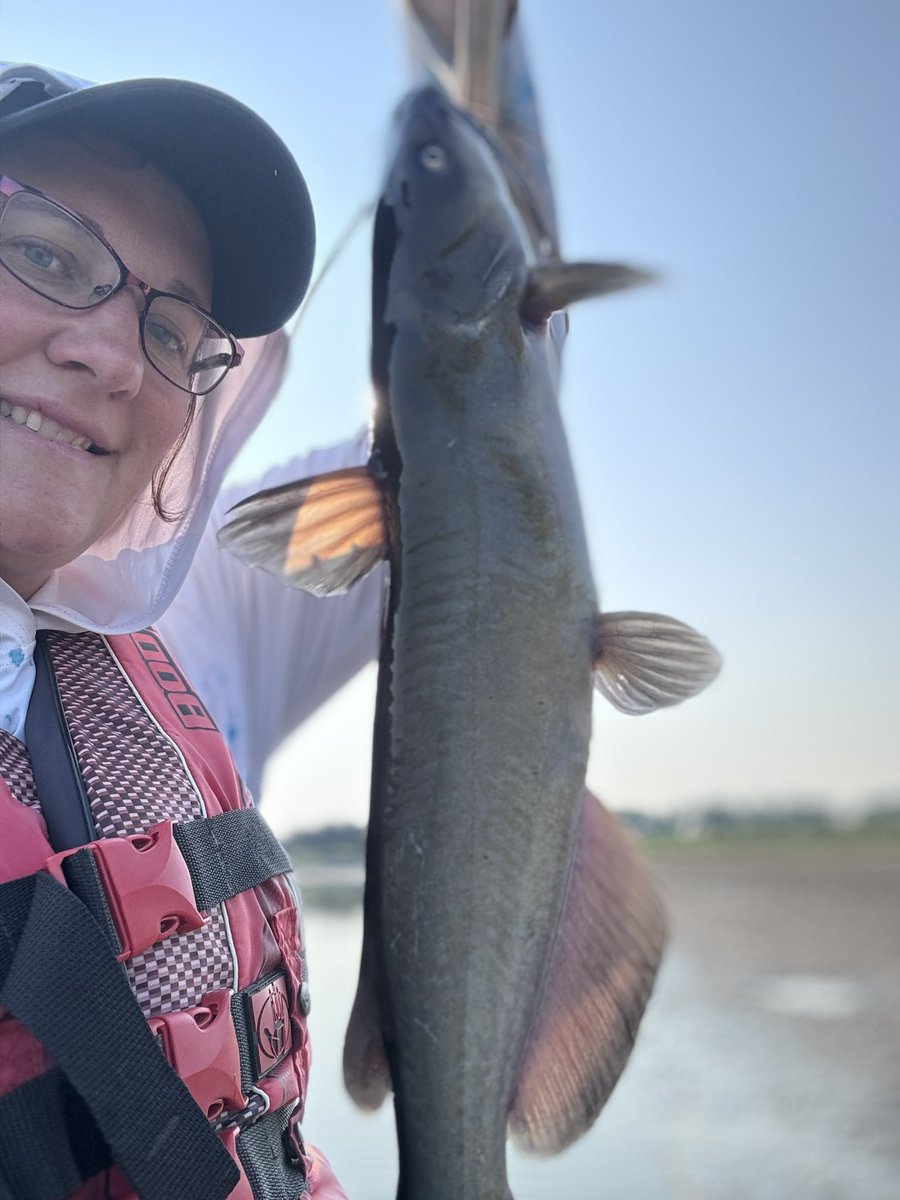 StacyJohnson124's tweet photo. Early morning is always worth it, even if I hadn’t caught a fish. 🙂
#River #riverlife #fishing #catfish #morning #sunrise #peaceful https://t.co/SKBe26sIk2