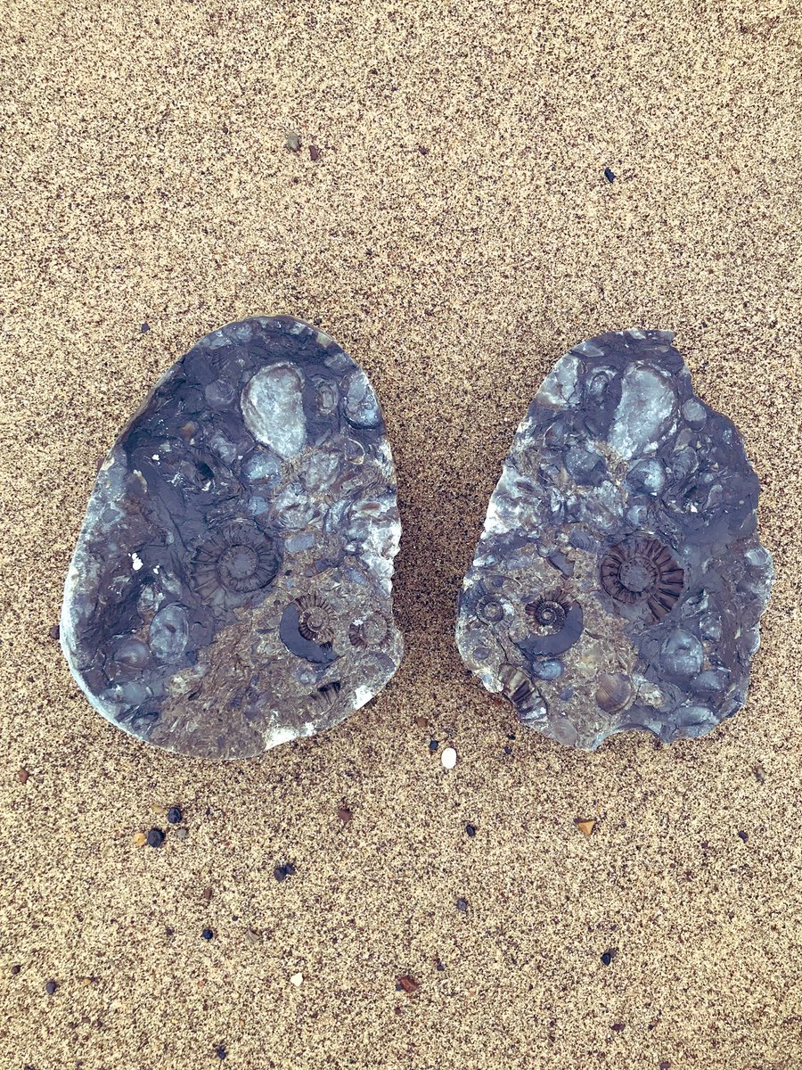 Dean Wilson tweet media