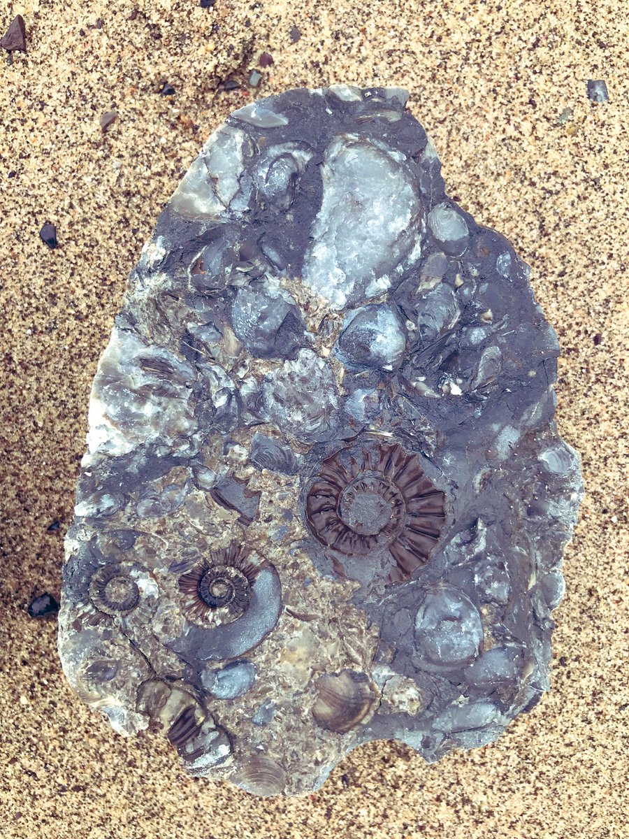 Dean Wilson tweet media