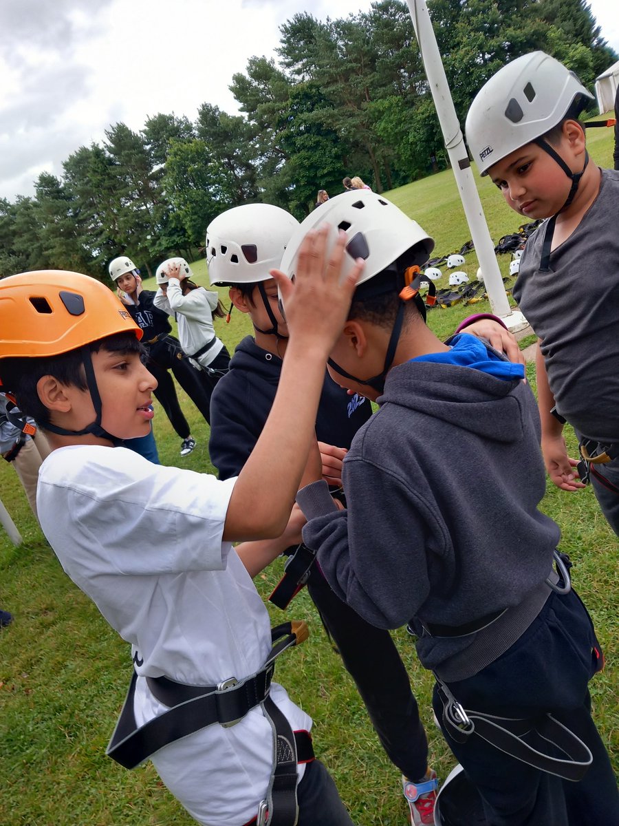 Ladypool Primary 🧡 tweet media