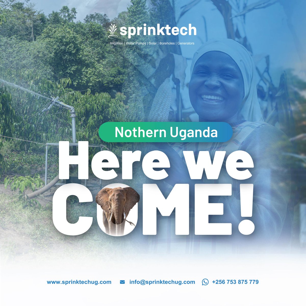 Sprinktech tweet media