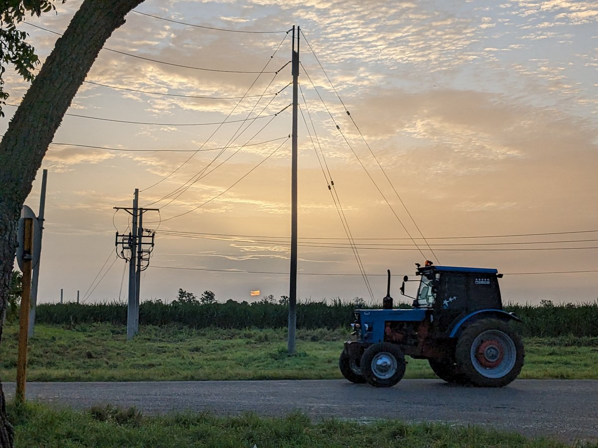 Con tierras fértiles y gente pegada al surco, hay que aprovechar la primavera para sembrar la mayor cantidad de tierras posibles, instó el presidente cubano <a href="/DiazCanelB/">Miguel Díaz-Canel Bermúdez</a> a los productores de Melena del Sur en #Mayabeque...
 
#CubaViveYTrabaja