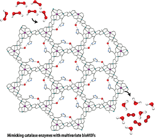 bhkenlo's tweet photo. Design of Multivariate Biological Metal–Organic Frameworks: Toward Mimicking Active Sites of Enzymes | Inorganic Chemistry https://t.co/jFMex27FyR Armentano, Pardo, and co-workers @InorgChem #copper #calcium #serimox #MTV #bioMOF #mimicks #catalases https://t.co/mo1MIglbJP
