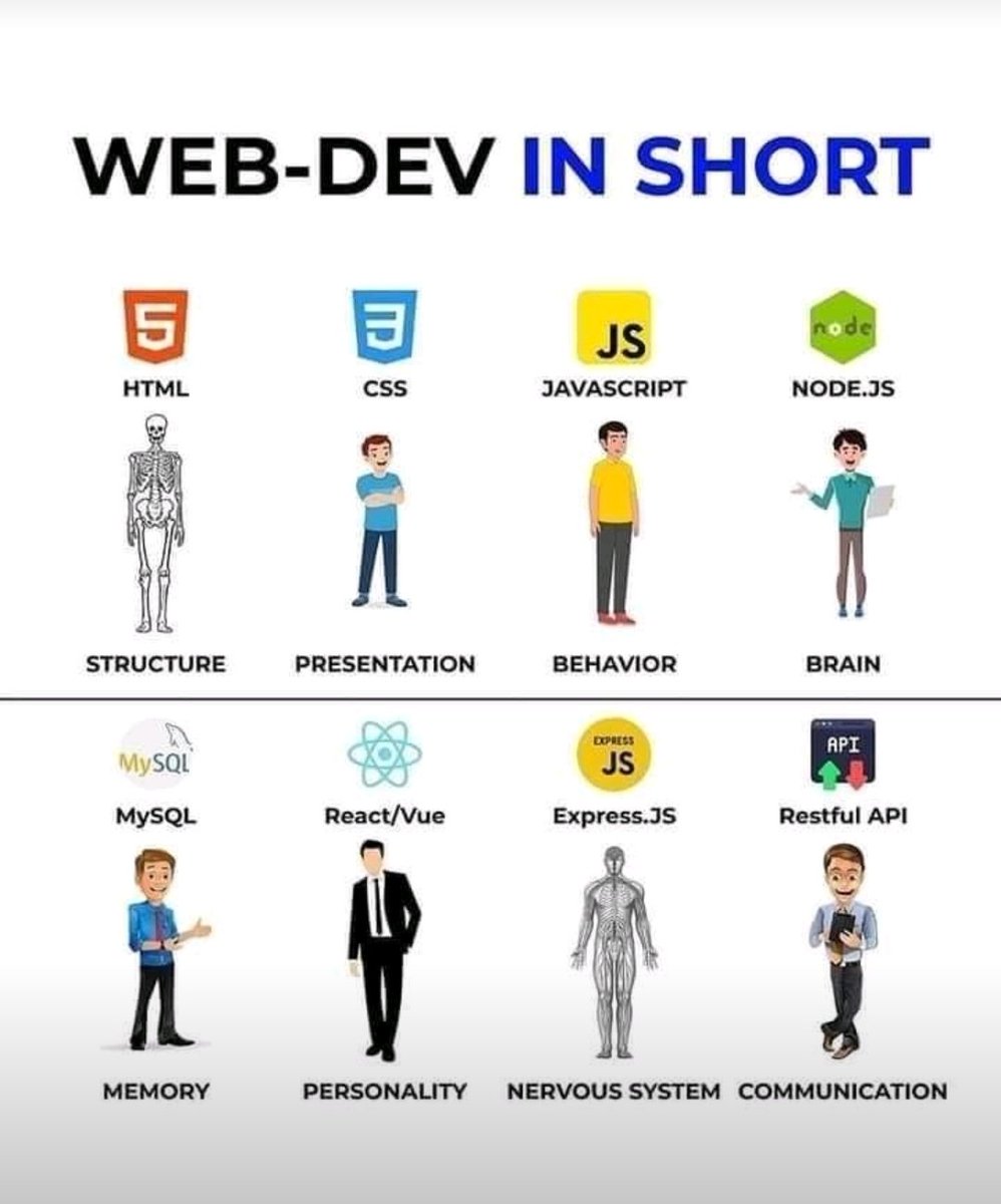 _VividXe's tweet photo. A quick overview for beginners 🚀🚀 https://t.co/S2Cvj4RHB9