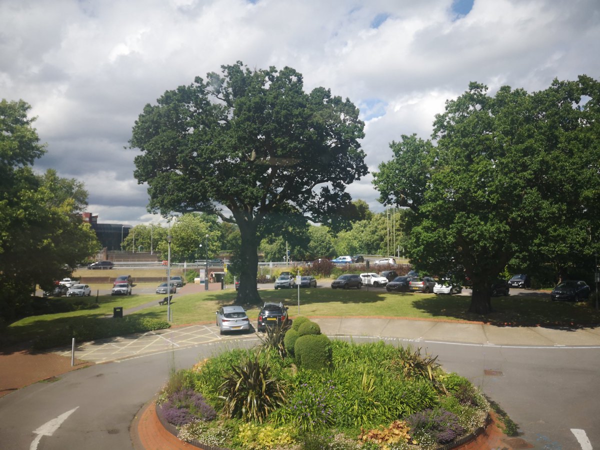 GenBWild's tweet photo. Delighted to announce my new role as Assistant Ecology Officer for @RushmoorCouncil - I started this week, and am so looking forward to starting working on some exciting projects 💚 https://t.co/QdiiAFd7qM