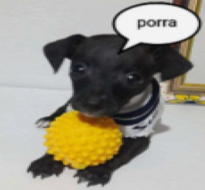 morpholar's tweet image. GALERA E EU QUE FUI NO MEDICO E ESQUECI DE PEGAR ATESTADO