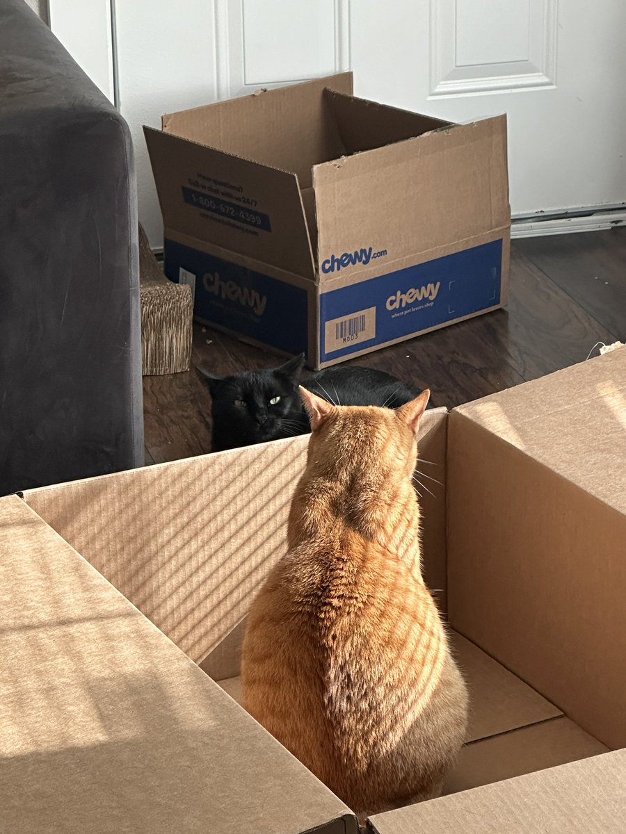 life lateley 😼😽