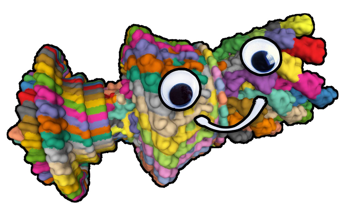 EMBL Science Education & Public Engagement tweet media