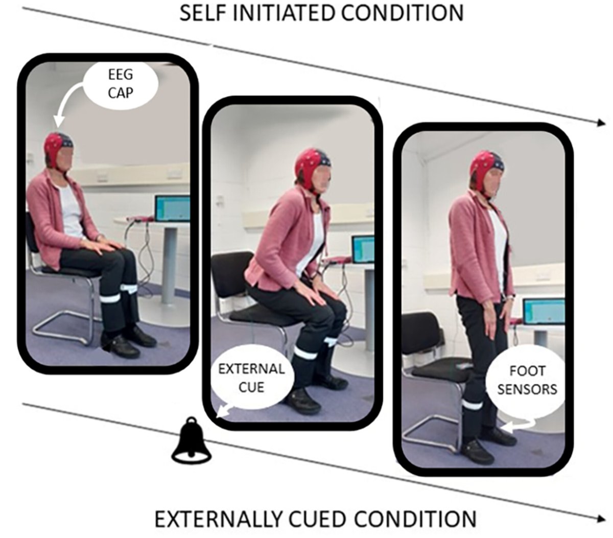 Simon Ladouce, PhD. tweet media