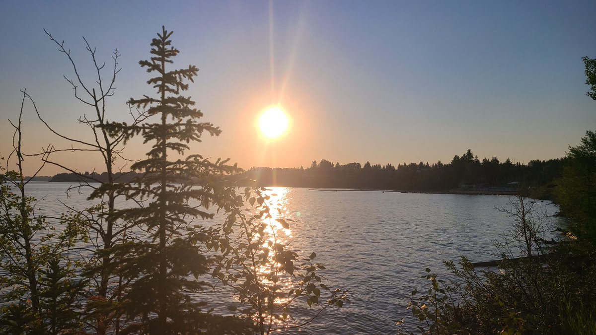 The upside my inability to fall back asleep.

Ruminating about "enormous" problems that MUST be solved 4 am doesn't serve me.

So I get up and interrupt those thoughts...

This day I hit the jackpot! - a deserted trail around South Glenmore Park and a fantastic view.

#adulting