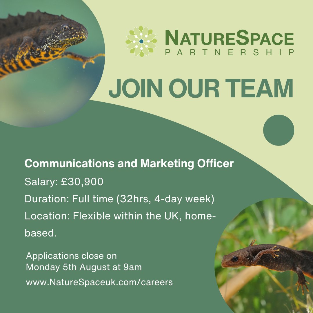 ⭐ We are looking for a mid-career marketing and communications specialist to join our team!

Head to the link below to find out more about the role. 

lnkd.in/gyfY7VSc