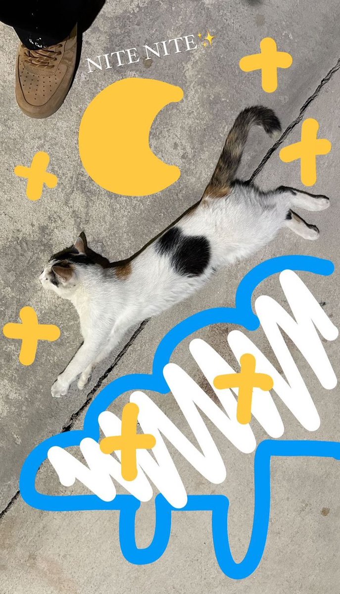 IGs updated [10072024] 🩹🏍️🐈 วันนี้ไปแว้นๆมาแน่นอนนน อันนี้แค่จอดเล่นกับน้องแมวเนอะ เนอะ 55555555555

#BuildJakapan <a href="/JakeB4rever/">BIU.</a>
 #Beyourluve