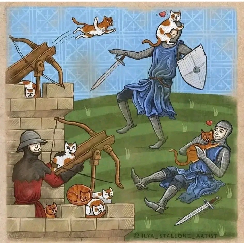 -"Oigan ¿No vieron a mis gat..."?