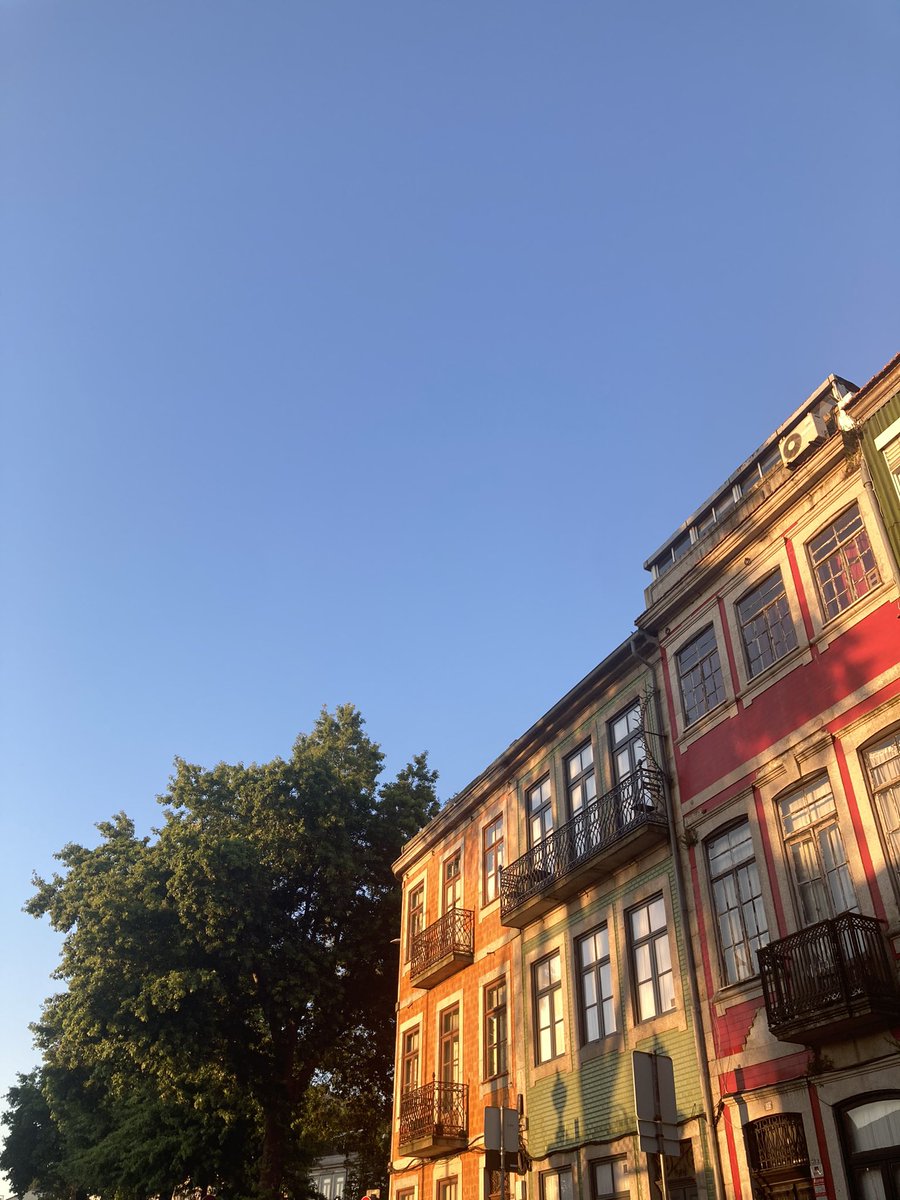 roser batlle roca tweet media