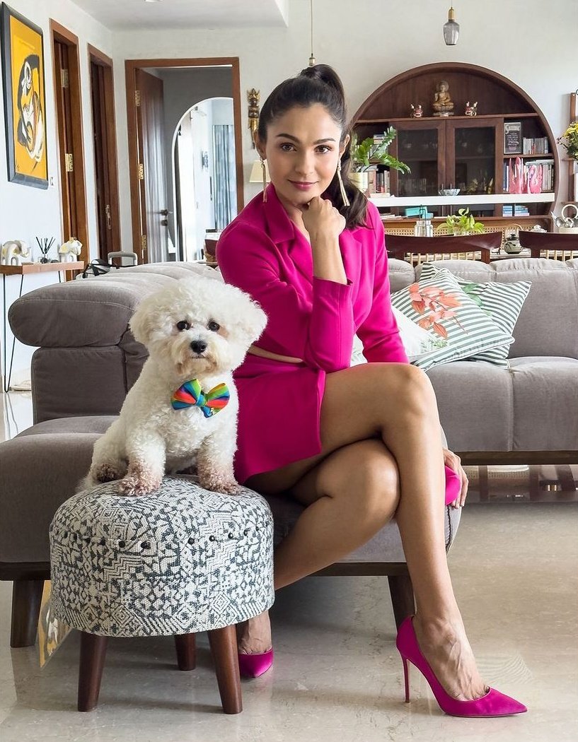 GSIillvaIAAgaTx?format=jpg&name=medium