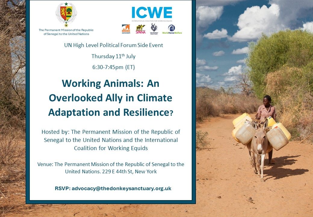 Be sure to sign up to this side event held at #HLPF2024 tomorrow, Thursday 11 July at 6:30pm New York time/11pm UK time. Registration to follow the event online via zoom is now open here: us02web.zoom.us/webinar/regist…
